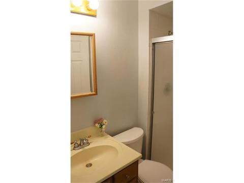 675 Turfwood Dr, Ballwin, MO 63021 photo 21