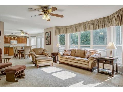 472 Terrington Dr, Ballwin, MO 63021 photo 9