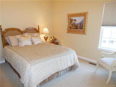 28 Clear Meadows Ct, O'fallon, MO 63366 photo 73