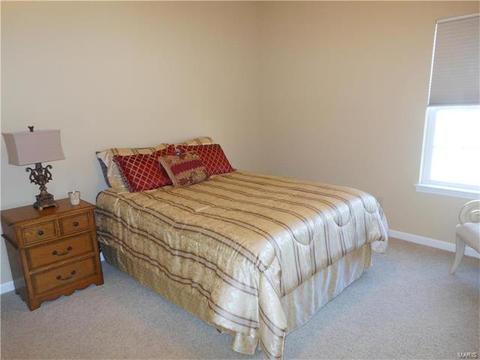 28 Clear Meadows Ct, O'fallon, MO 63366 photo 70
