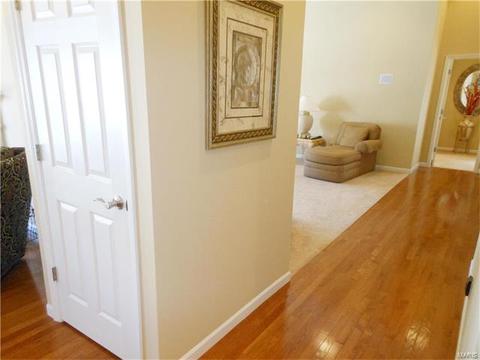 28 Clear Meadows Ct, O'fallon, MO 63366 photo 22