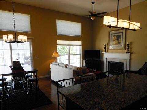 28 Clear Meadows Ct, O'fallon, MO 63366 photo 64
