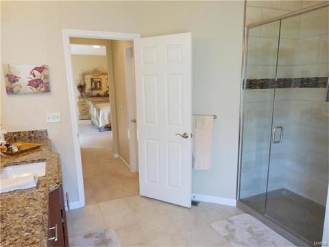 28 Clear Meadows Ct, O'fallon, MO 63366 photo 80