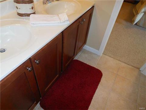 28 Clear Meadows Ct, O'fallon, MO 63366 photo 71