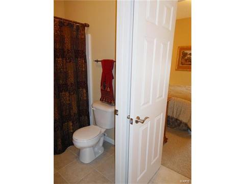 28 Clear Meadows Ct, O'fallon, MO 63366 photo 72