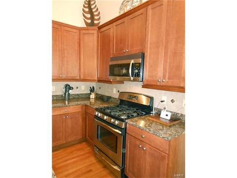 28 Clear Meadows Ct, O'fallon, MO 63366 photo 53