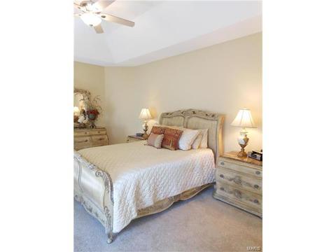 28 Clear Meadows Ct, O'fallon, MO 63366 photo 74