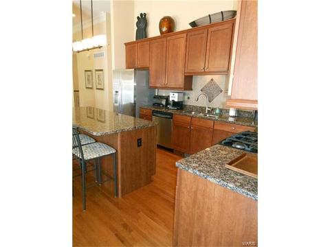28 Clear Meadows Ct, O'fallon, MO 63366 photo 13