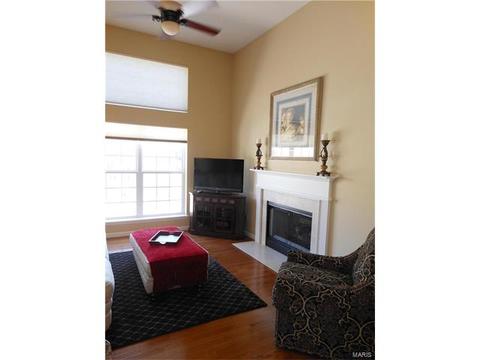 28 Clear Meadows Ct, O'fallon, MO 63366 photo 16