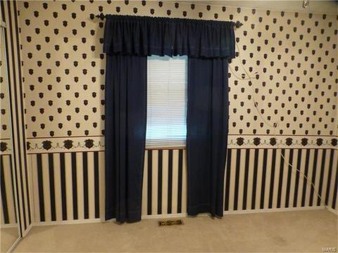 307 Ries Ct, Ballwin, MO 63021 photo 6