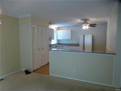 307 Ries Ct, Ballwin, MO 63021 photo 2