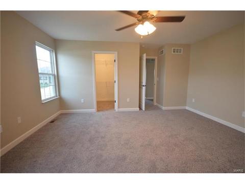 432 Mockingbird Ln, Waterloo, IL 62298 photo 29