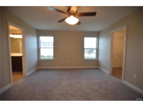 432 Mockingbird Ln, Waterloo, IL 62298 photo 28