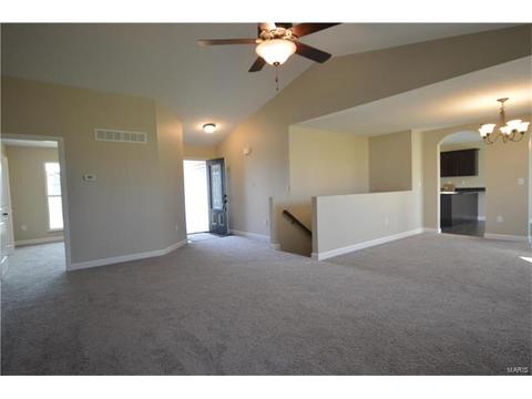 432 Mockingbird Ln, Waterloo, IL 62298 photo 6