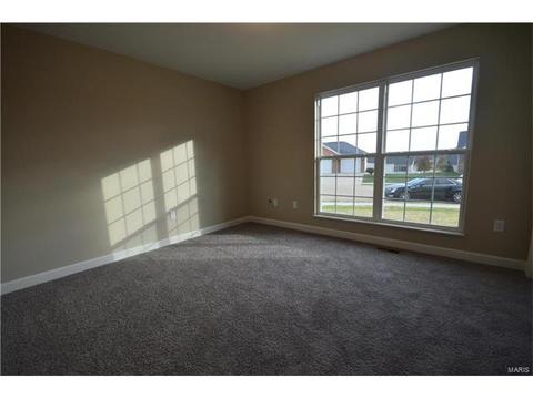 432 Mockingbird Ln, Waterloo, IL 62298 photo 21