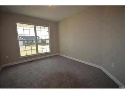 432 Mockingbird Ln, Waterloo, IL 62298 photo 19