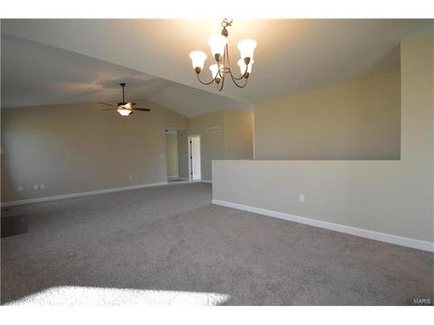 432 Mockingbird Ln, Waterloo, IL 62298 photo 11