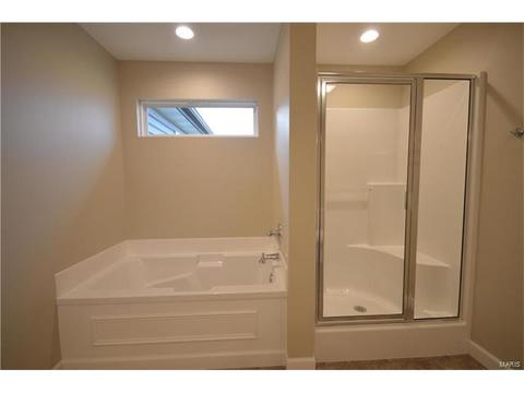 432 Mockingbird Ln, Waterloo, IL 62298 photo 26