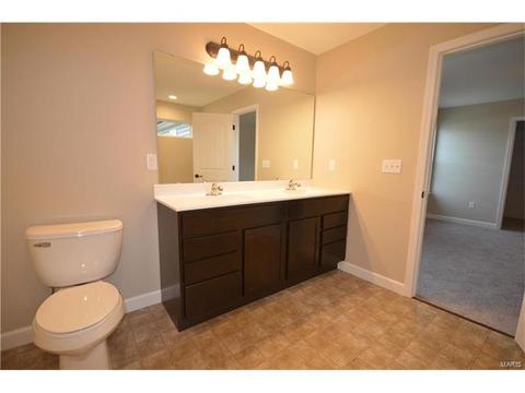 432 Mockingbird Ln, Waterloo, IL 62298 photo 25