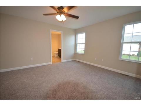 432 Mockingbird Ln, Waterloo, IL 62298 photo 27