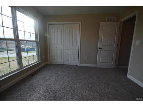 432 Mockingbird Ln, Waterloo, IL 62298 photo 22