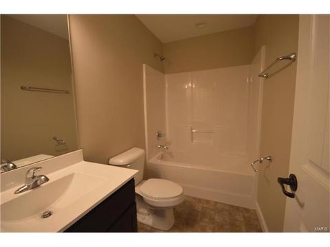 432 Mockingbird Ln, Waterloo, IL 62298 photo 23