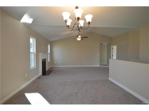 432 Mockingbird Ln, Waterloo, IL 62298 photo 10