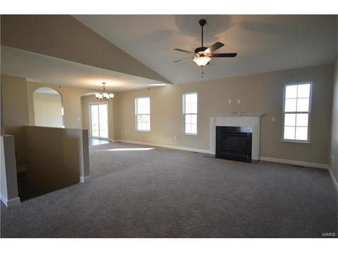 432 Mockingbird Ln, Waterloo, IL 62298 photo 5