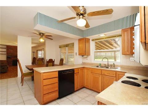 1132 Hobbs Mill Dr, Ballwin, MO 63021 photo 5