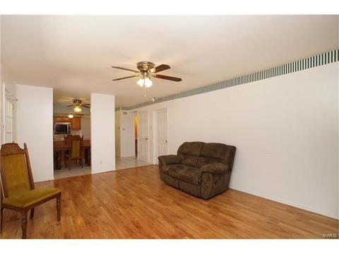 1132 Hobbs Mill Dr, Ballwin, MO 63021 photo 10