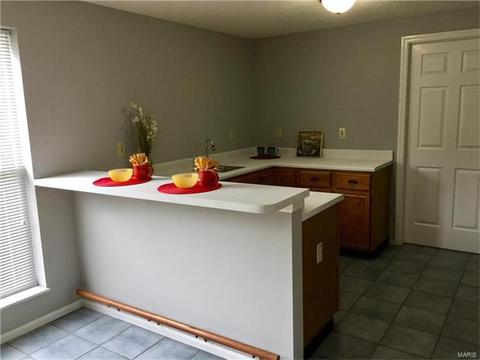 4 Sunshine Ct, O'fallon, MO 63368 photo 23