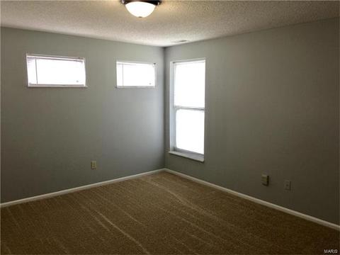 4 Sunshine Ct, O'fallon, MO 63368 photo 21