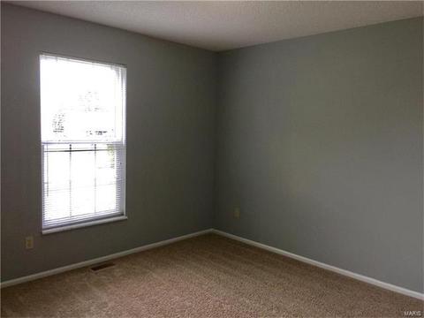 4 Sunshine Ct, O'fallon, MO 63368 photo 18