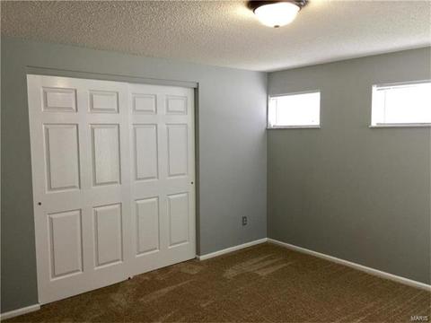 4 Sunshine Ct, O'fallon, MO 63368 photo 22