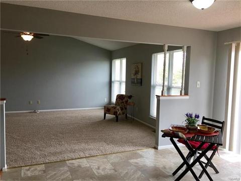 4 Sunshine Ct, O'fallon, MO 63368 photo 8