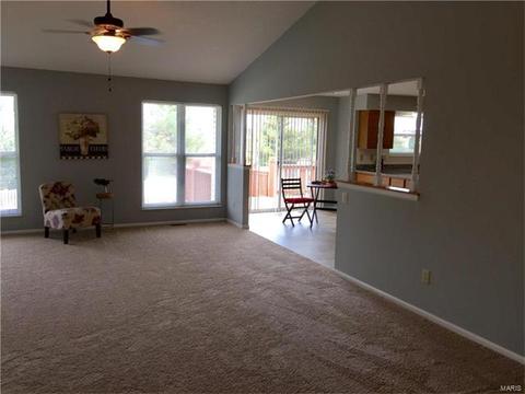 4 Sunshine Ct, O'fallon, MO 63368 photo 4