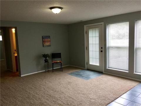 4 Sunshine Ct, O'fallon, MO 63368 photo 19