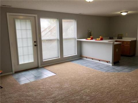 4 Sunshine Ct, O'fallon, MO 63368 photo 24