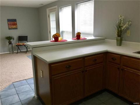 4 Sunshine Ct, O'fallon, MO 63368 photo 25