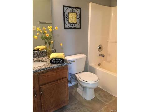 4 Sunshine Ct, O'fallon, MO 63368 photo 9