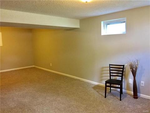 61 White Doe Ct, Eureka, MO 63025 photo 12
