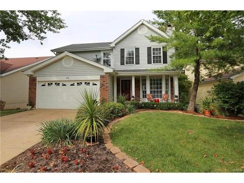 1938 Strawberry Ridge Dr, Ballwin, MO 63021 photo 30