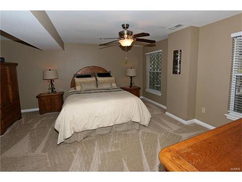 1938 Strawberry Ridge Dr, Ballwin, MO 63021 photo 19