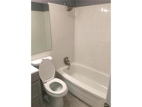 10 Le Tour Ct, Manchester, MO 63021 photo 14