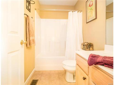 33 Thoreau Ct, O'fallon, MO 63366 photo 22