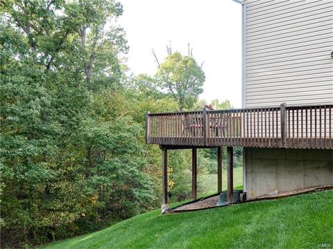 33 Thoreau Ct, O'fallon, MO 63366 photo 3