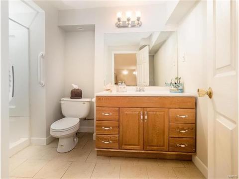 33 Thoreau Ct, O'fallon, MO 63366 photo 28