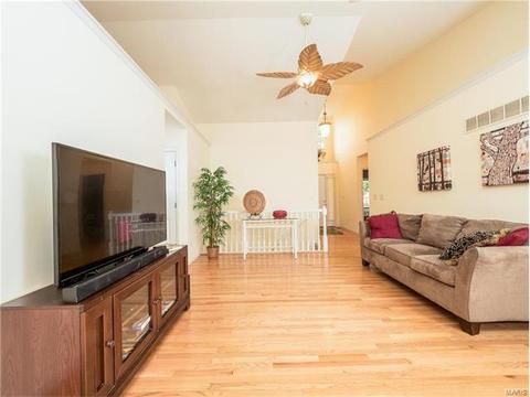 33 Thoreau Ct, O'fallon, MO 63366 photo 5