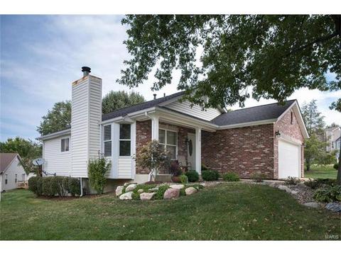 2525 Shiva, Wildwood, MO 63011 photo 20
