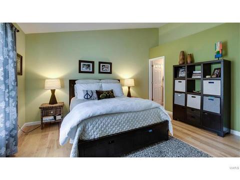 2525 Shiva, Wildwood, MO 63011 photo 7